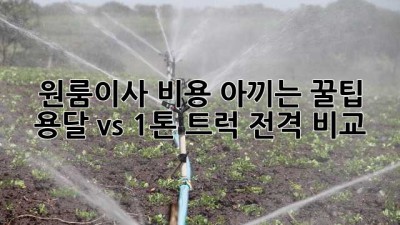 원룸이사 비용 아끼는 꿀팁🍯 용달 vs 1톤 트럭 전격 비교!