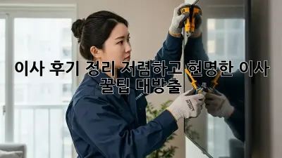 이사 후기 정리: 저렴하고 현명한 이사, 꿀팁 대방출!