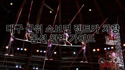 대구 군위 소보면 렌트카: 차량 옵션 완벽 가이드