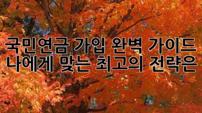 국민연금 가입 완벽 가이드 🚀 나에게 맞는 최고의 전략은?