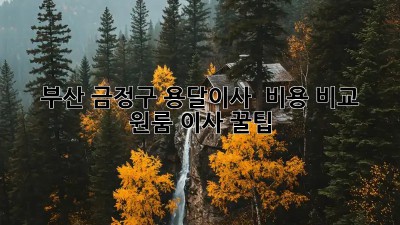 부산 금정구 용달이사 🚚 비용 비교 & 원룸 이사 꿀팁🍯